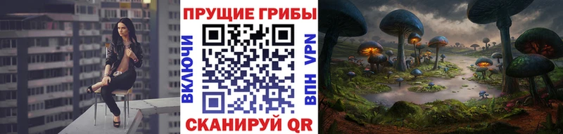 Галлюциногенные грибы GOLDEN TEACHER  купить закладку  Орлов 