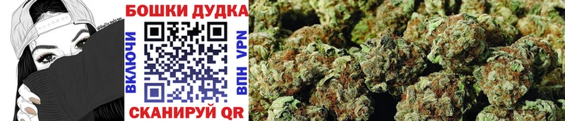 МАРИХУАНА план  Орлов 